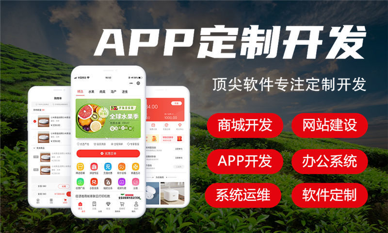 武汉爆特商城系统小程序模式开发软件：助力企业数字化转型的高效解决方案