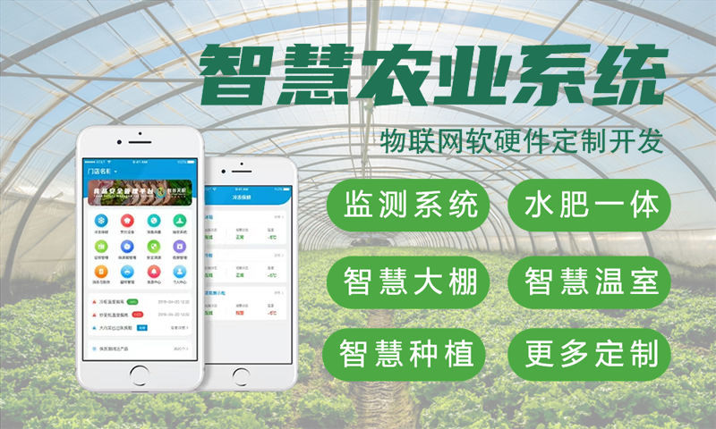 烟台物联网开发企业如何借助固件工程师突破硬件研发瓶颈